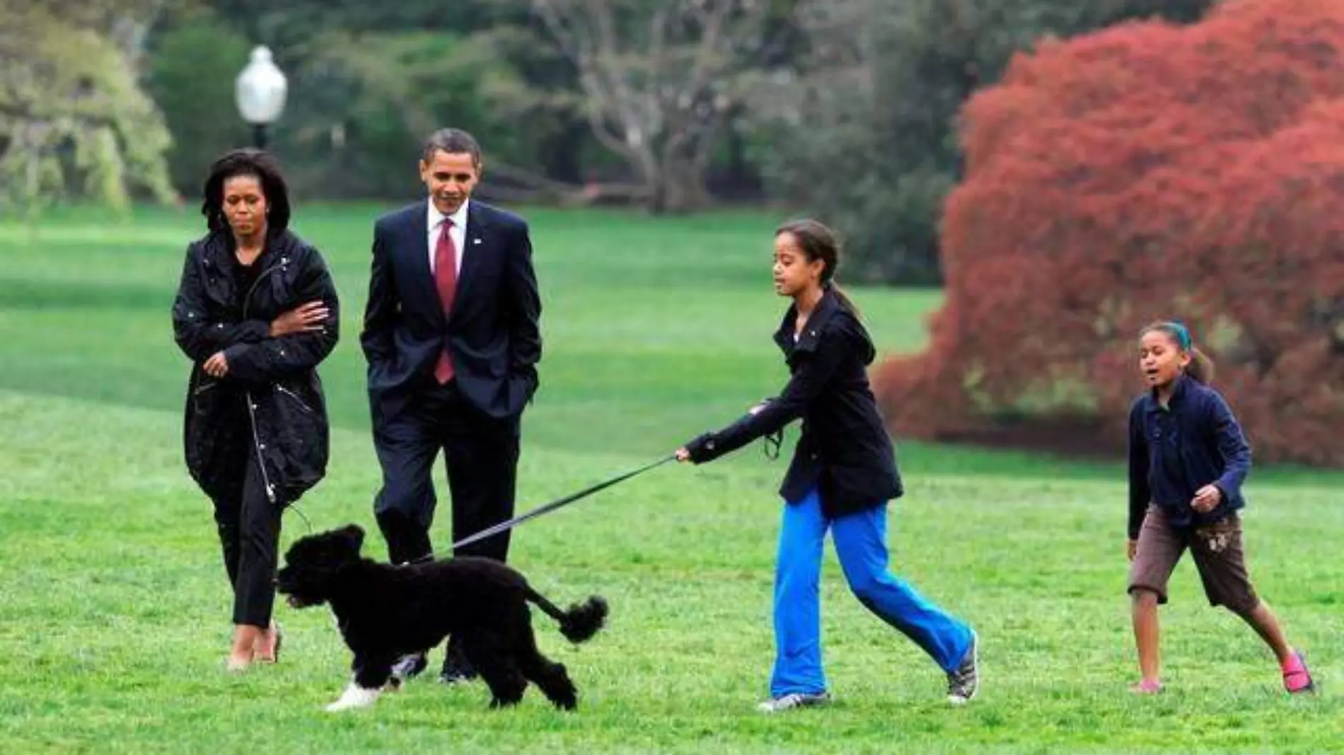 bo, perro familia obama